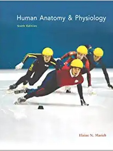 Anatomy And Physiology - 6th Edition - Solutions And Answers | Quizlet