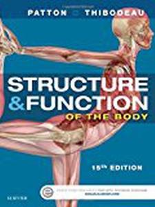 Search Quizlet › structure and function of the human body | Quizlet