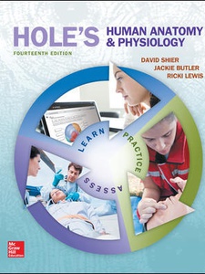 Hole's Human Anatomy and Physiology 14th Edition by David Shier, Jackie Butler, Ricki Lewis