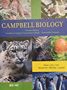 Free Solutions For Campbell Biology 10th Edition | Quizlet