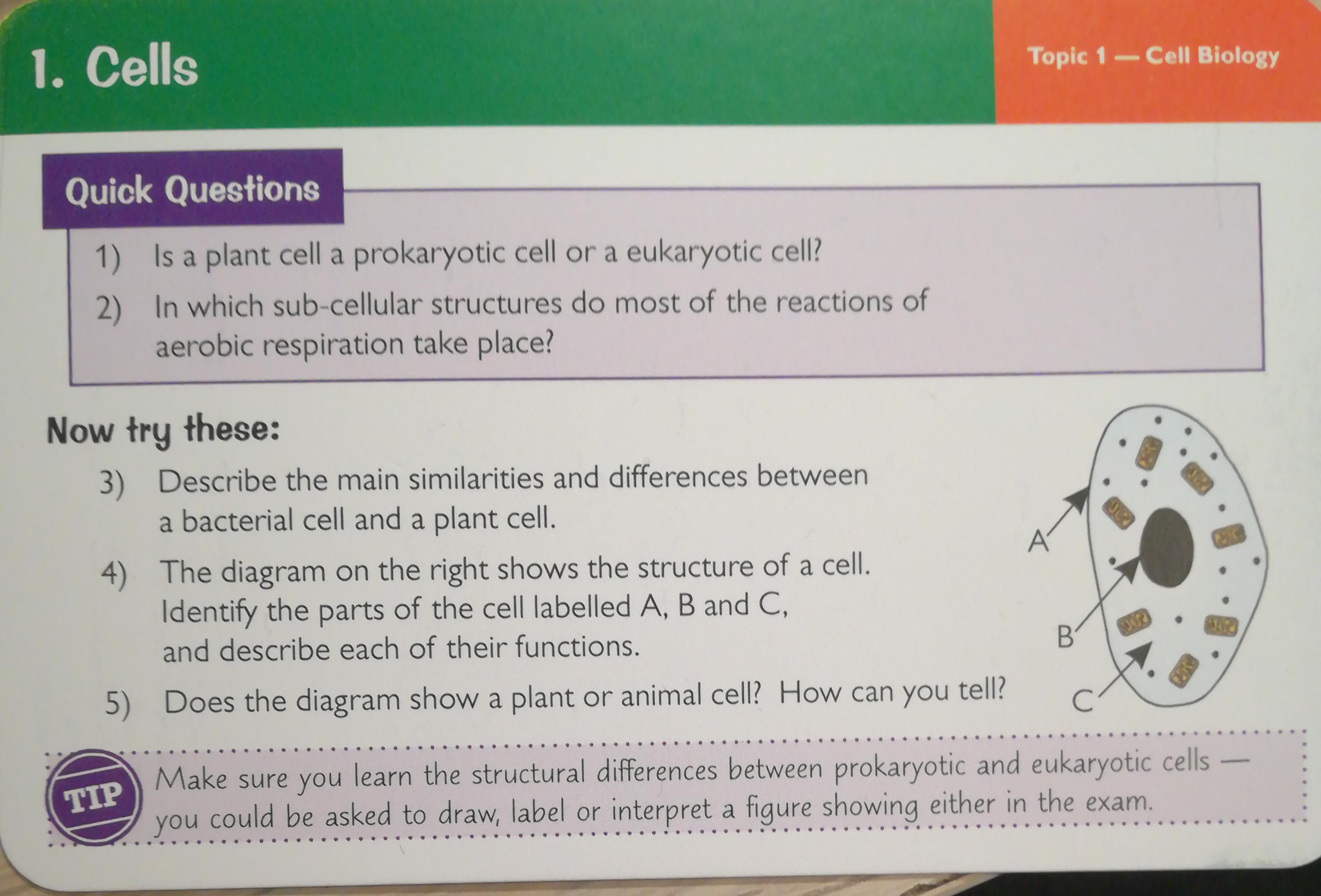 1 Isaplant Cell A Prokaryotic Cell Or A Eukaryotic Cell 2 In Which Sub Cellular Structures Do Most Of The Reactions Of Aerobic Respiration Take Place Now Tru These Ww Ss Wo